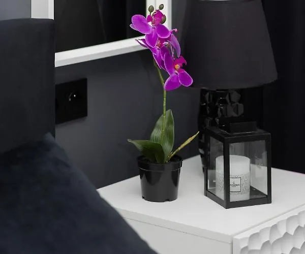 With Balcony By The Park In By Renters Prestige